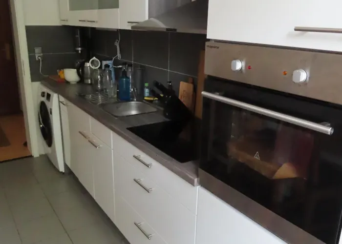 Lägenhet 95qm Erdgeschosswohnung Im Villenviertel Vollausgestattet Mit Kamin, Balkon Und Garten - Wlan Gratis *